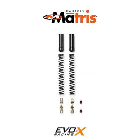 Cartuccia Matris Gamma Frk Aprilia DoRSoduro 900 17-20