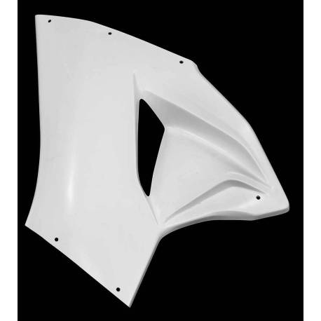 MV AGUSTA F3 Left side fairing fiberglass Carbonin