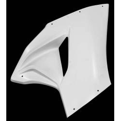 Right side panel fiberglass Carbonin MV AGUSTA F3