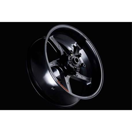 17 x 5.5 inch forged aluminum rear wheel for Piega OZ single-sided version