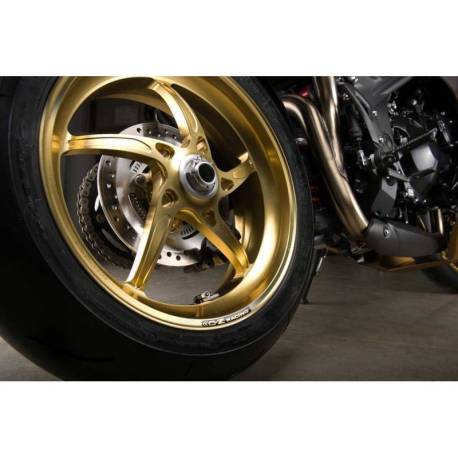 Rueda trasera 17 x 5.5 de aluminio forjado para versión de monobrazo Piega OZ Triumph Speed Triple