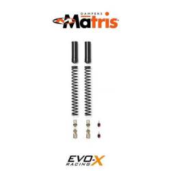 FORK KIT FRK BMW F 900R (K83) 20