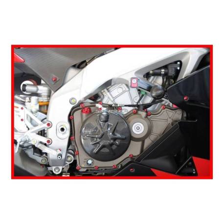 Kit viti motore Ducati 749 999 Evotech