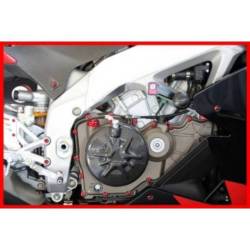 Kit de tornillería del motor Aprilia Tuono V4 Evotech