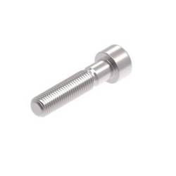 Evotech M10 x 45 x 1.25mm Screw - 316 S/S