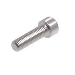 Evotech M10 x 35 x 1.5mm Screw - 316 S/S