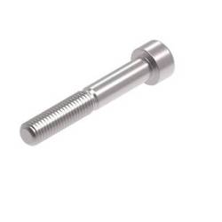 Evotech M10 x 65 x 1.5mm Screw - 316 S/S