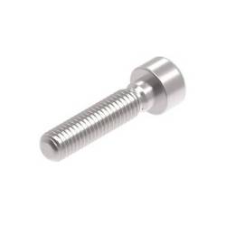 Evotech M8 x 35 x 1.25mm Screw - 316 S/S