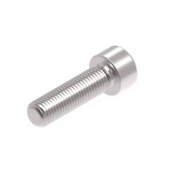 Evotech M10 x 35 x 1.25mm Screw - 316 S/S