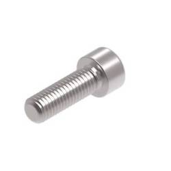 Evotech M10 x 30 x 1.5mm Screw - 316 S/S