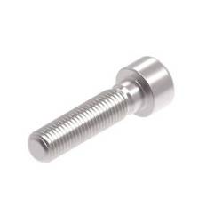 Evotech M10 x 40 x 1.25mm Screw - 316 S/S